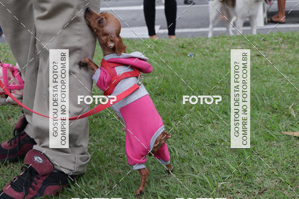 Buy your photos of the event13� C�ominhada - Santos on Fotop