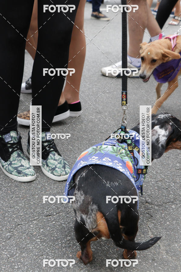 Buy your photos of the event13� C�ominhada - Santos on Fotop