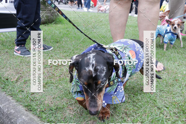 Buy your photos of the event13� C�ominhada - Santos on Fotop