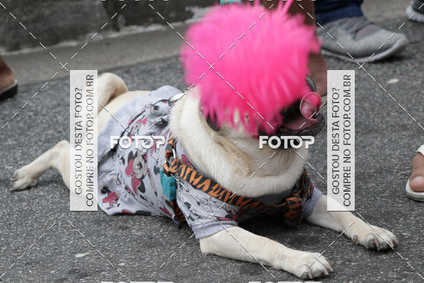 Buy your photos of the event13� C�ominhada - Santos on Fotop