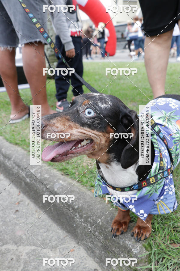 Buy your photos of the event13� C�ominhada - Santos on Fotop