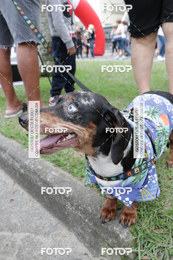 Buy your photos of the event13� C�ominhada - Santos on Fotop