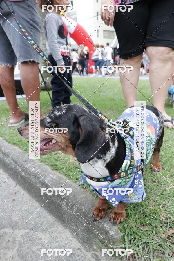 Buy your photos of the event13� C�ominhada - Santos on Fotop
