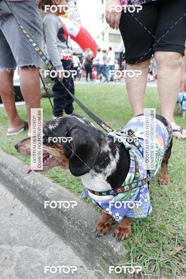 Buy your photos of the event13� C�ominhada - Santos on Fotop