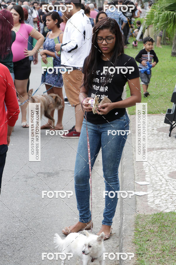 Buy your photos of the event13� C�ominhada - Santos on Fotop