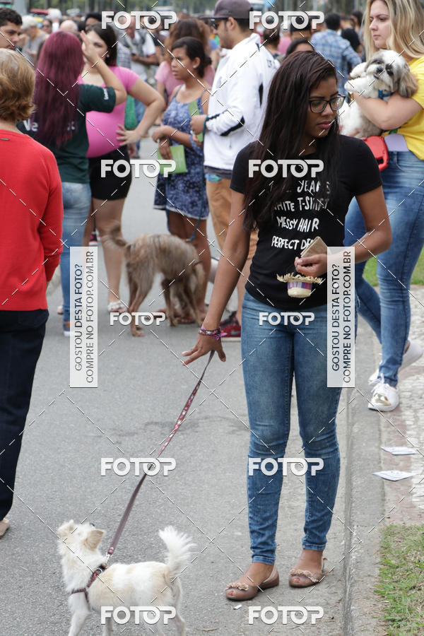 Buy your photos of the event13� C�ominhada - Santos on Fotop