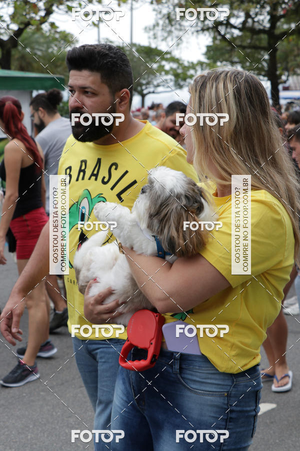 Buy your photos of the event13� C�ominhada - Santos on Fotop