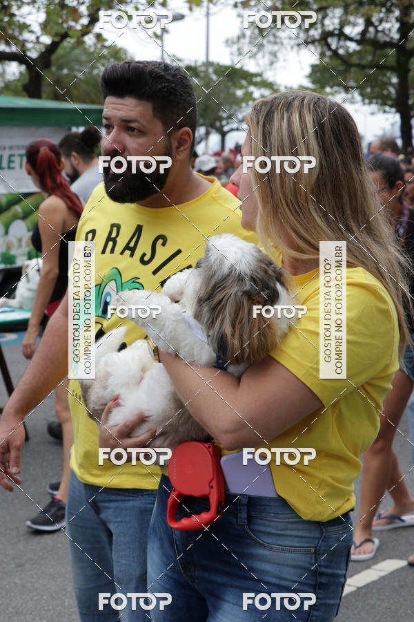 Buy your photos of the event13� C�ominhada - Santos on Fotop