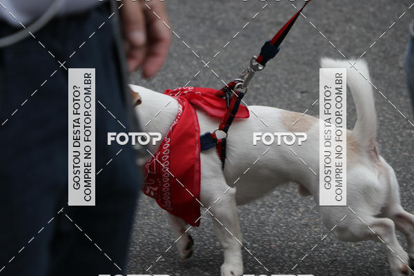 Buy your photos of the event13� C�ominhada - Santos on Fotop