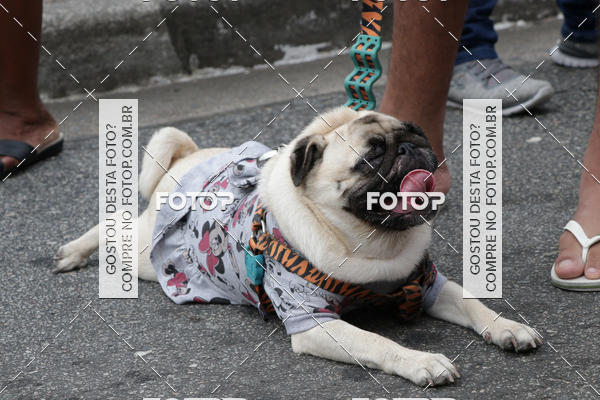 Buy your photos of the event13� C�ominhada - Santos on Fotop