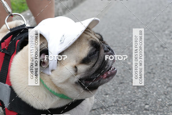 Buy your photos of the event13 Cominhada - Santos on Fotop
