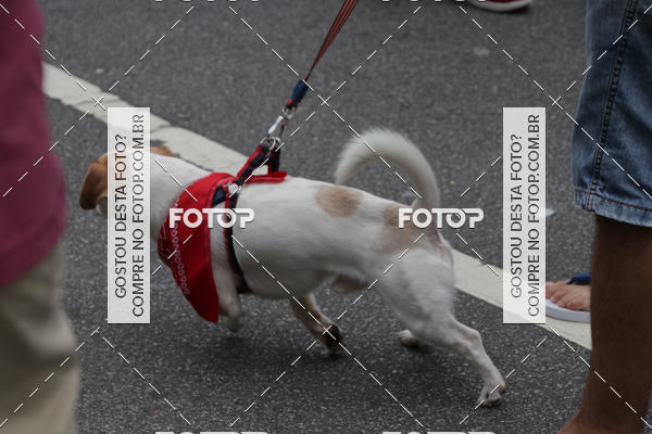 Buy your photos of the event13� C�ominhada - Santos on Fotop