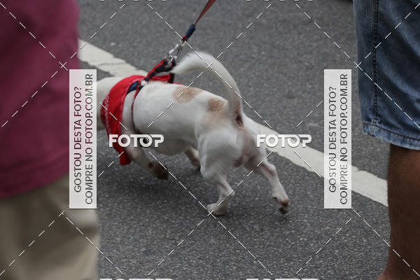 Buy your photos of the event13� C�ominhada - Santos on Fotop