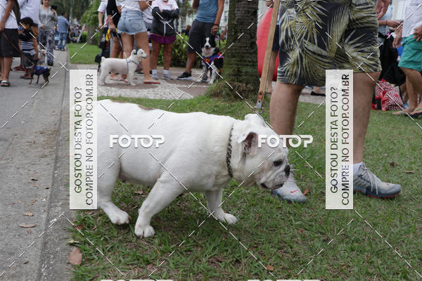 Buy your photos of the event13� C�ominhada - Santos on Fotop