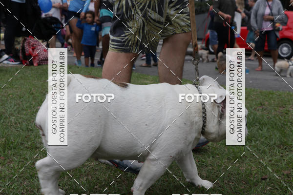 Buy your photos of the event13� C�ominhada - Santos on Fotop