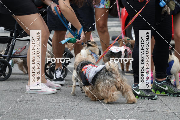 Buy your photos of the event13� C�ominhada - Santos on Fotop