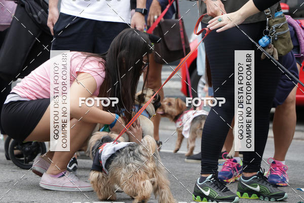 Buy your photos of the event13� C�ominhada - Santos on Fotop