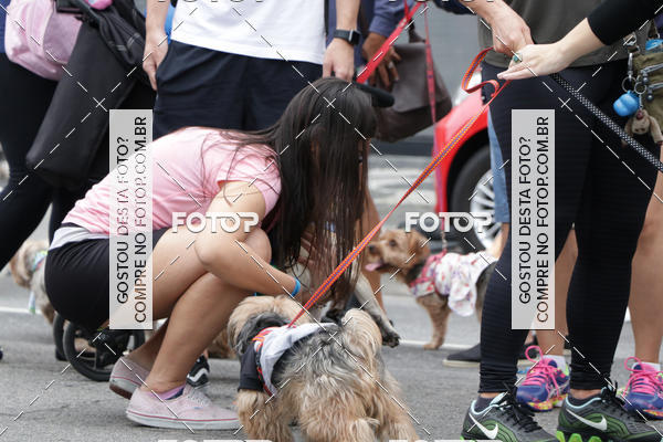 Buy your photos of the event13� C�ominhada - Santos on Fotop