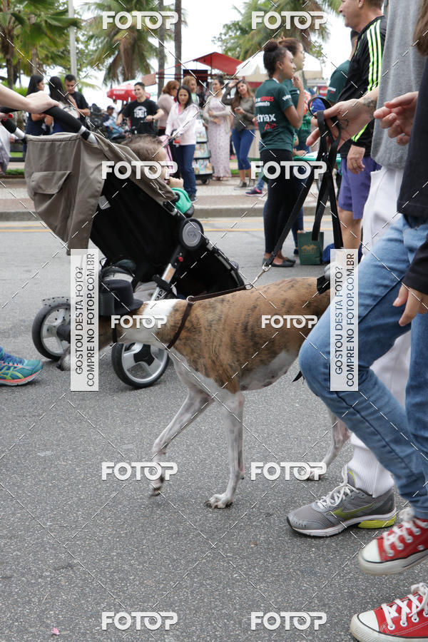 Buy your photos of the event13� C�ominhada - Santos on Fotop