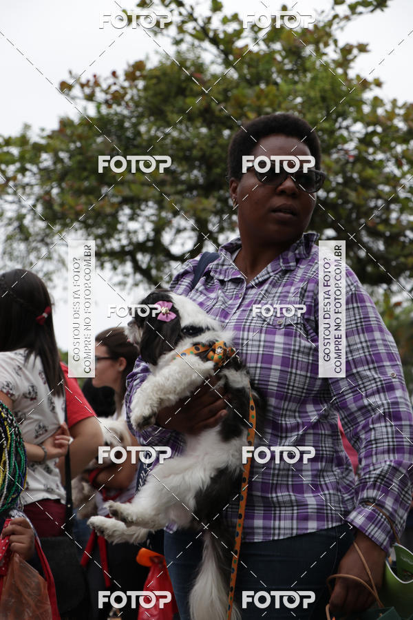 Buy your photos of the event13� C�ominhada - Santos on Fotop