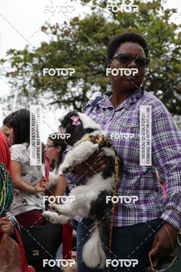 Buy your photos of the event13� C�ominhada - Santos on Fotop