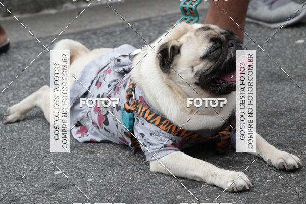 Buy your photos of the event13� C�ominhada - Santos on Fotop