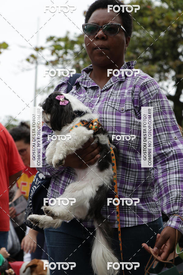 Buy your photos of the event13� C�ominhada - Santos on Fotop