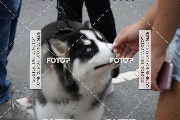 Buy your photos of the event13� C�ominhada - Santos on Fotop