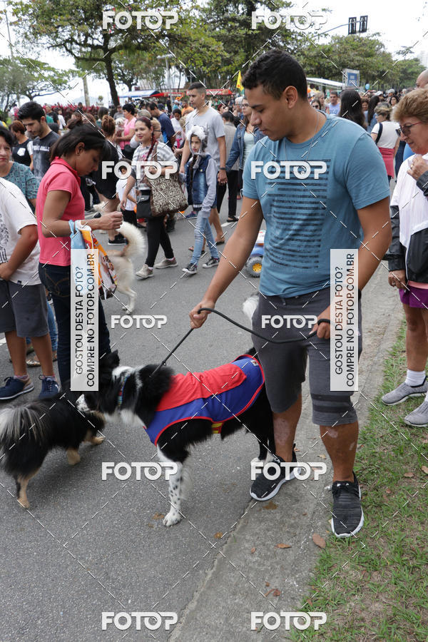 Buy your photos of the event13� C�ominhada - Santos on Fotop