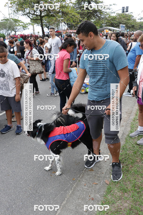 Buy your photos of the event13� C�ominhada - Santos on Fotop