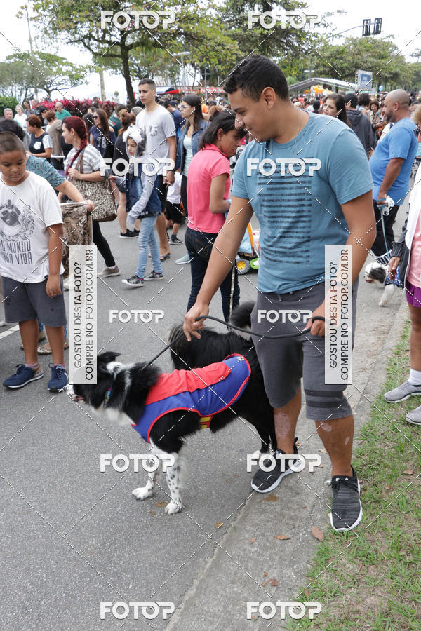 Buy your photos of the event13� C�ominhada - Santos on Fotop