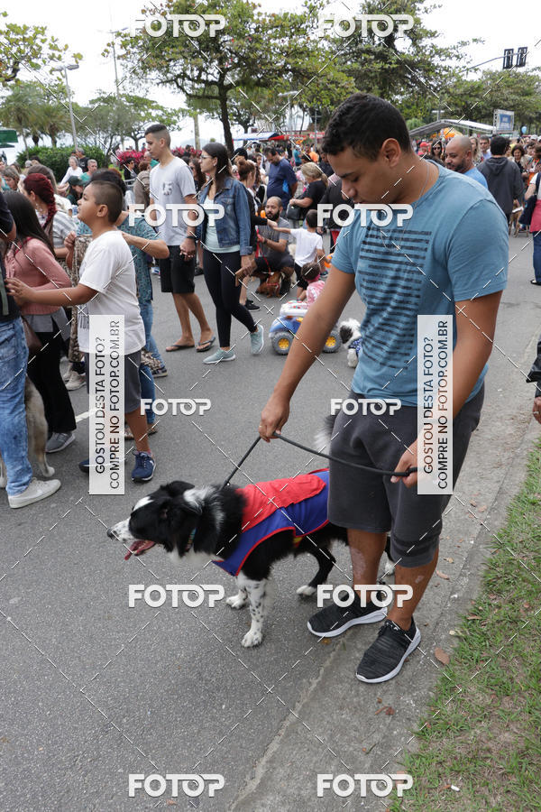 Buy your photos of the event13� C�ominhada - Santos on Fotop