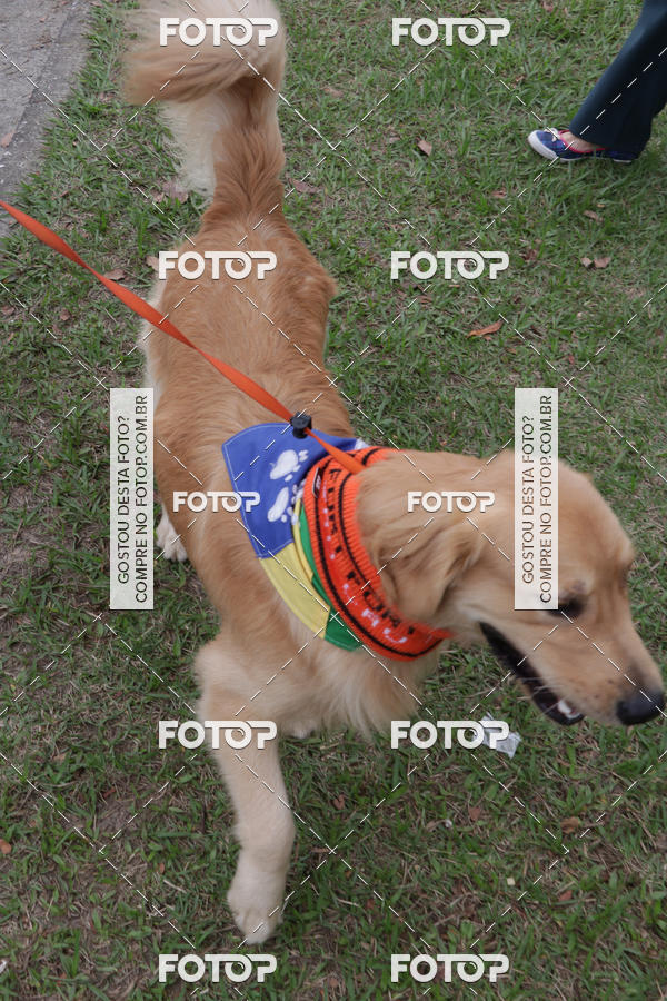 Buy your photos of the event13� C�ominhada - Santos on Fotop