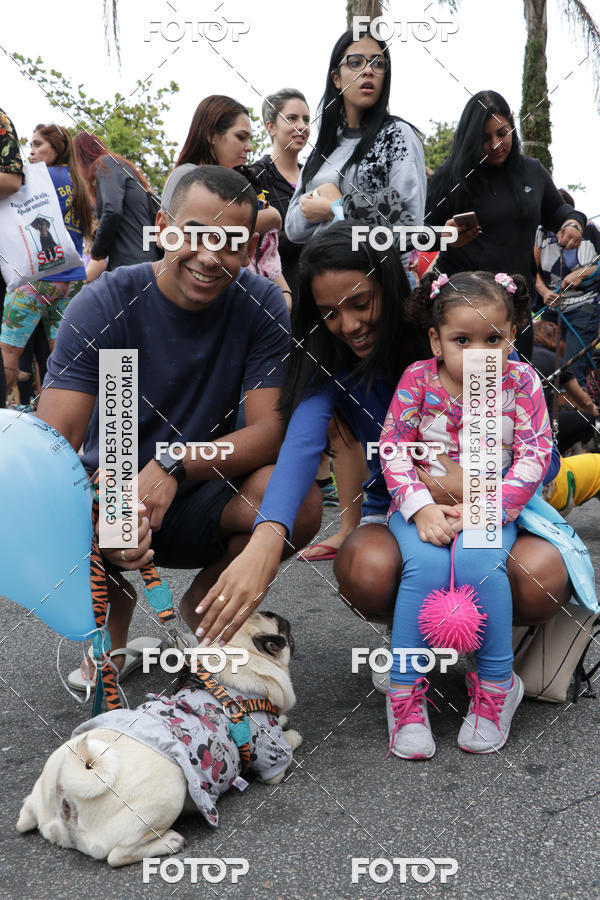 Buy your photos of the event13� C�ominhada - Santos on Fotop