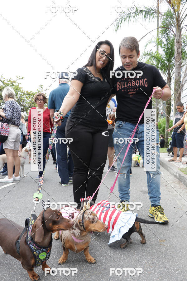 Buy your photos of the event13� C�ominhada - Santos on Fotop