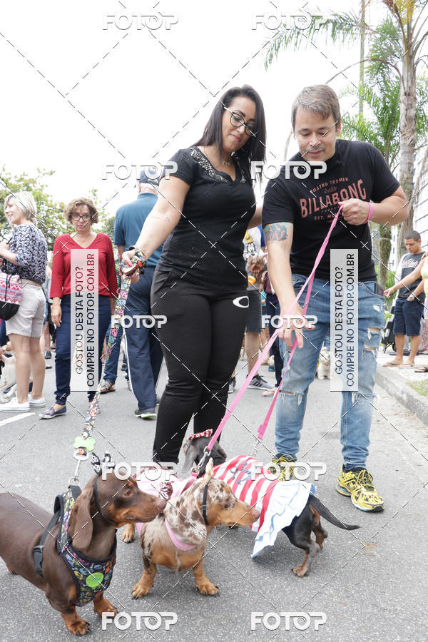 Buy your photos of the event13� C�ominhada - Santos on Fotop