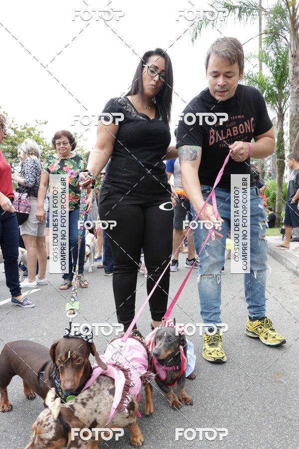 Buy your photos of the event13� C�ominhada - Santos on Fotop