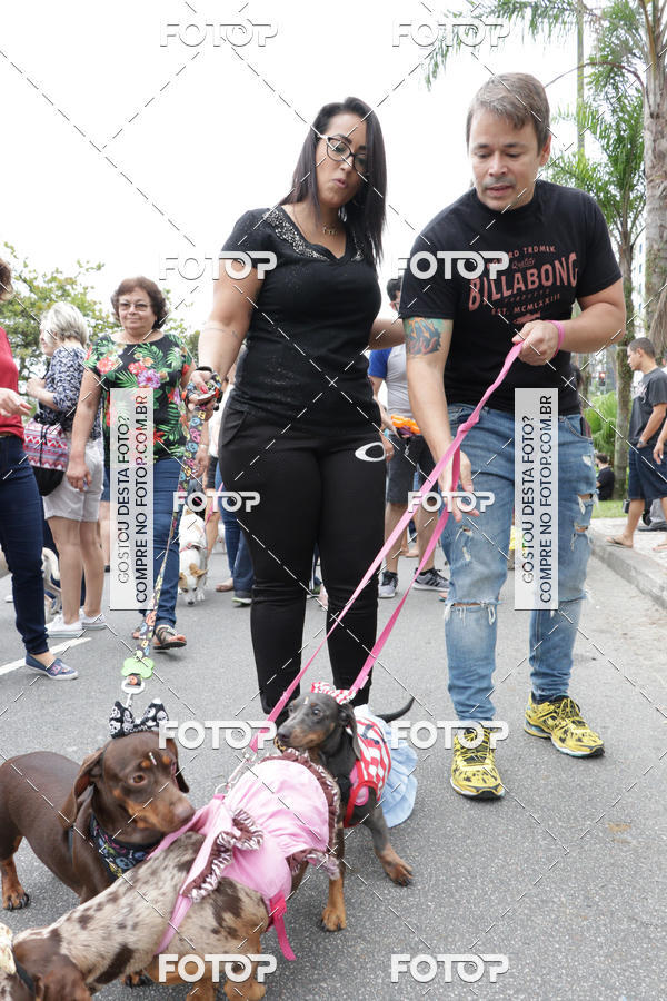 Buy your photos of the event13� C�ominhada - Santos on Fotop