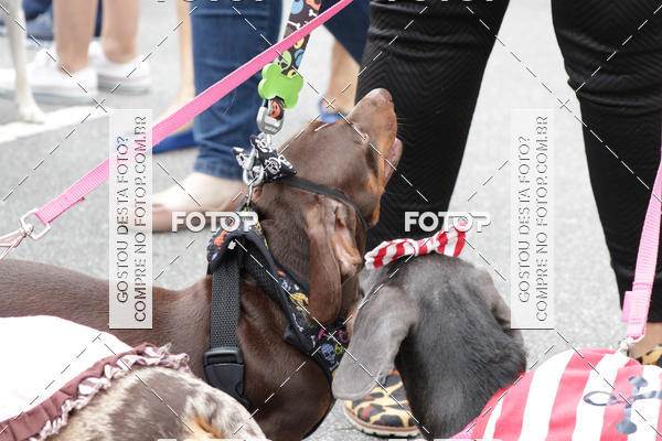 Buy your photos of the event13� C�ominhada - Santos on Fotop