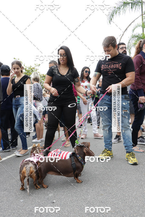 Buy your photos of the event13� C�ominhada - Santos on Fotop