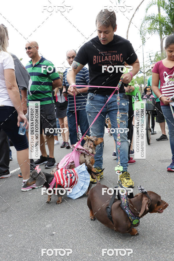 Buy your photos of the event13� C�ominhada - Santos on Fotop