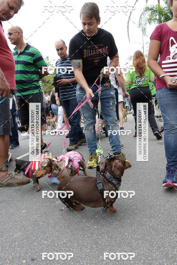 Buy your photos of the event13� C�ominhada - Santos on Fotop