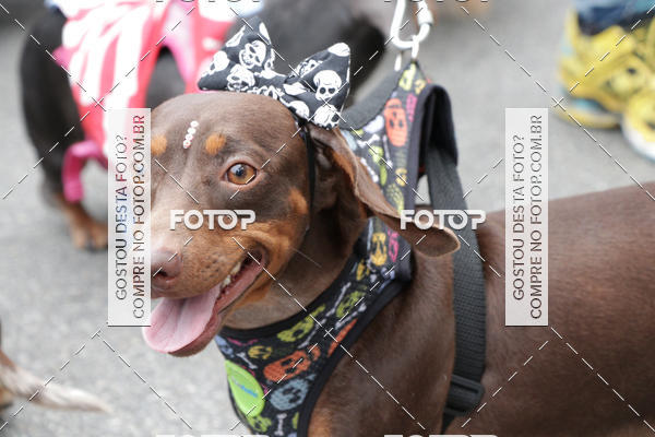 Buy your photos of the event13� C�ominhada - Santos on Fotop