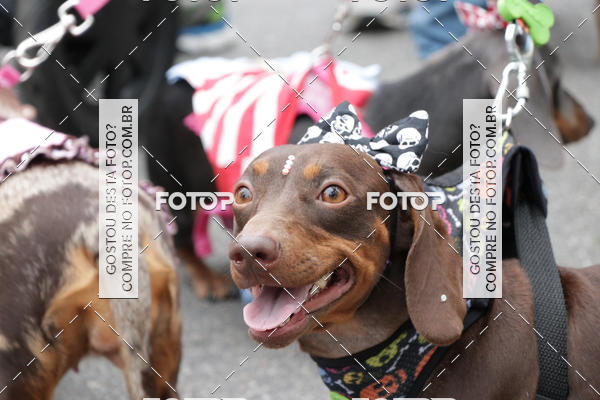 Buy your photos of the event13� C�ominhada - Santos on Fotop