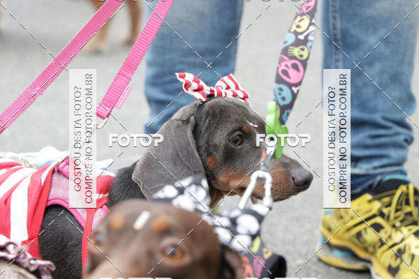 Buy your photos of the event13� C�ominhada - Santos on Fotop