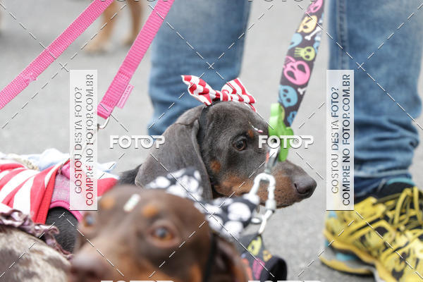 Buy your photos of the event13� C�ominhada - Santos on Fotop