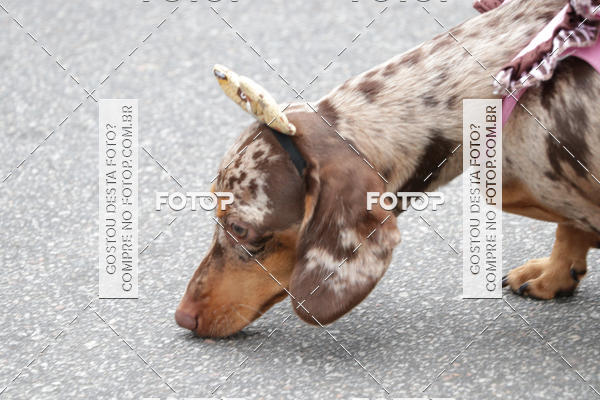 Buy your photos of the event13� C�ominhada - Santos on Fotop