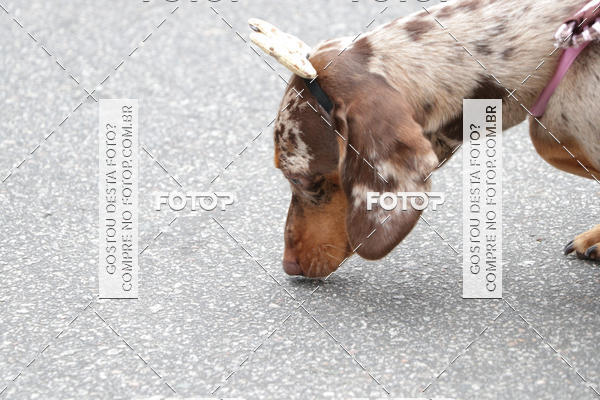 Buy your photos of the event13� C�ominhada - Santos on Fotop