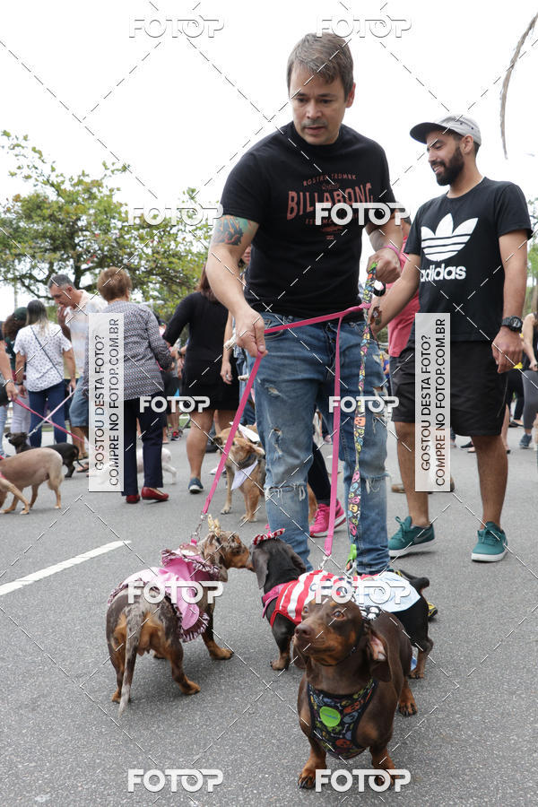 Buy your photos of the event13� C�ominhada - Santos on Fotop