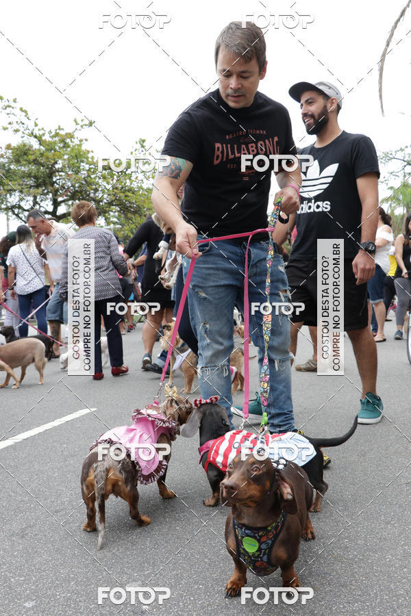 Buy your photos of the event13� C�ominhada - Santos on Fotop